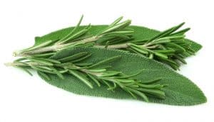 rosemary and sage