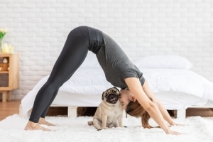 yoga downward dog pose with pug