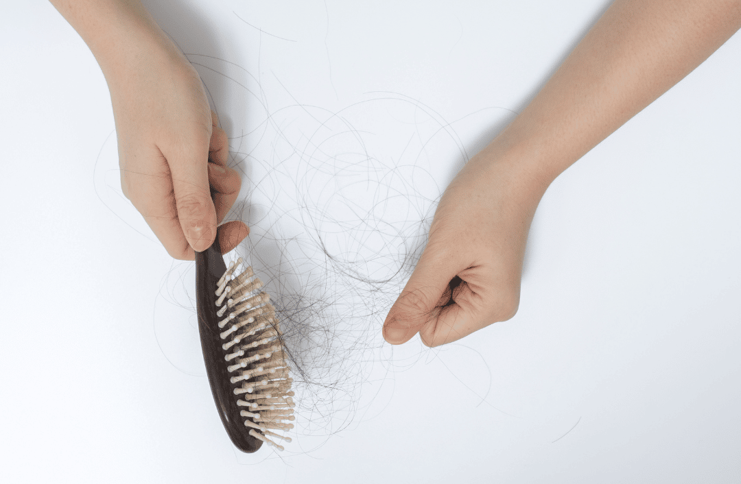 Fallen Hair Tangle on Comb